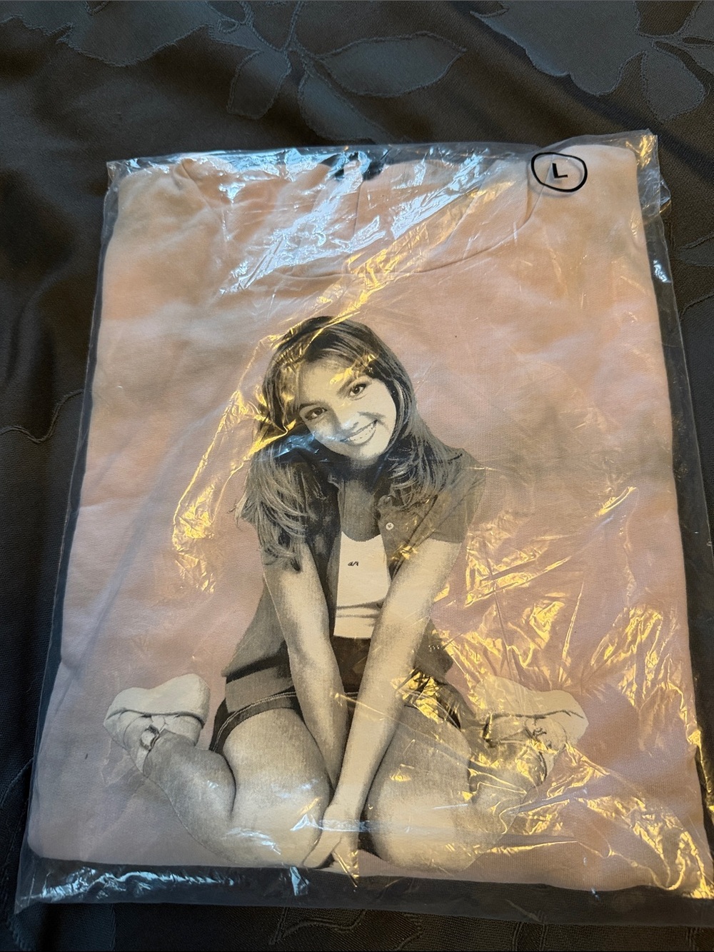 Light Pink & Grey Graphic Sweatshirt featuring Britney Spears